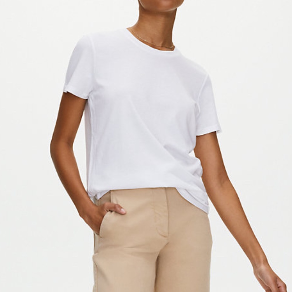 Aritzia Babaton Lagarde T Shirt (Black)